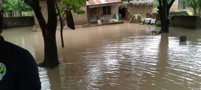 Floods In Benue And Niger Riverine Communities