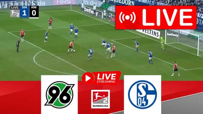 Hannover 96 Vs Fc Schalke 04 2. Bundesliga Match