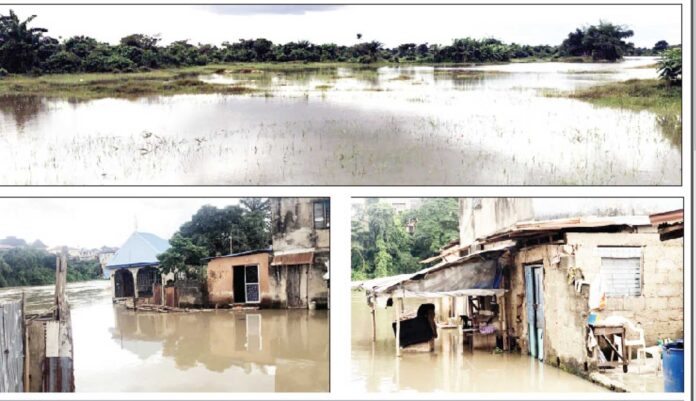 Oyan Dam Flood In Lagos And Ogun