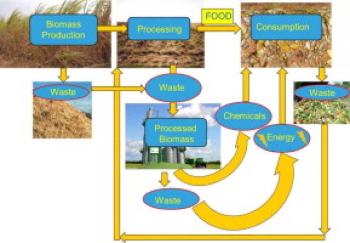 Post Harvest Losses In Agriculture