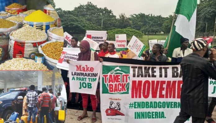 Protest Against Rising Food And Fuel Prices In Nigeria