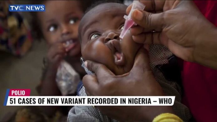 Who Polio Variant Nigeria