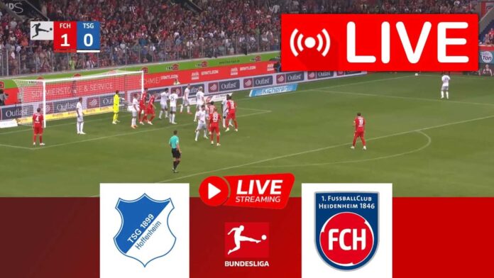 1. Fc Heidenheim Vs Tsg Hoffenheim Match