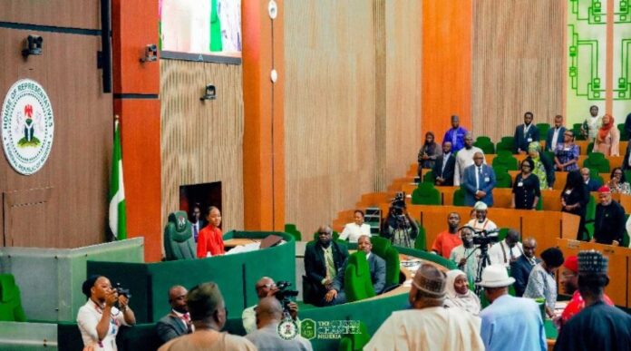 16 Year Old Isabel Presiding Over Nigerian House Of Representatives Session