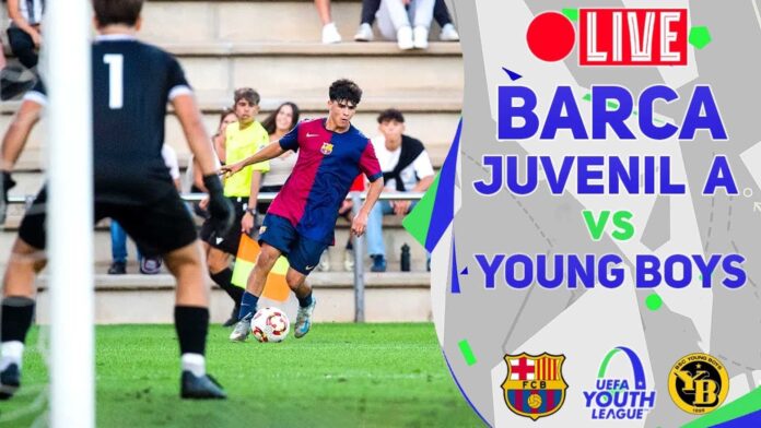 Barcelona Vs Young Boys Youth League