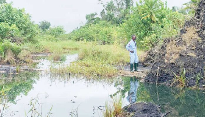 Bayelsa Oil Spills 2024