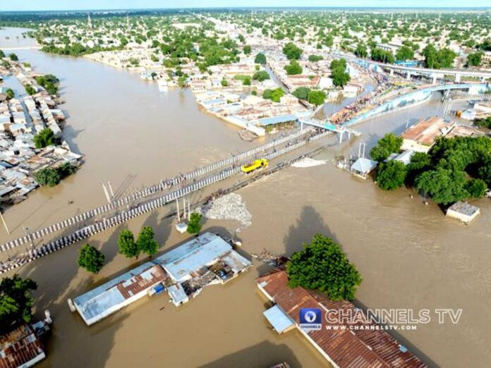 Bbc Hausa News Update Trump Harris Debate Flood In Maiduguri