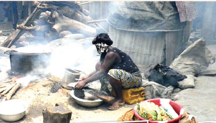 Experts Warning Against Using Firewood For Cooking In Nigeria