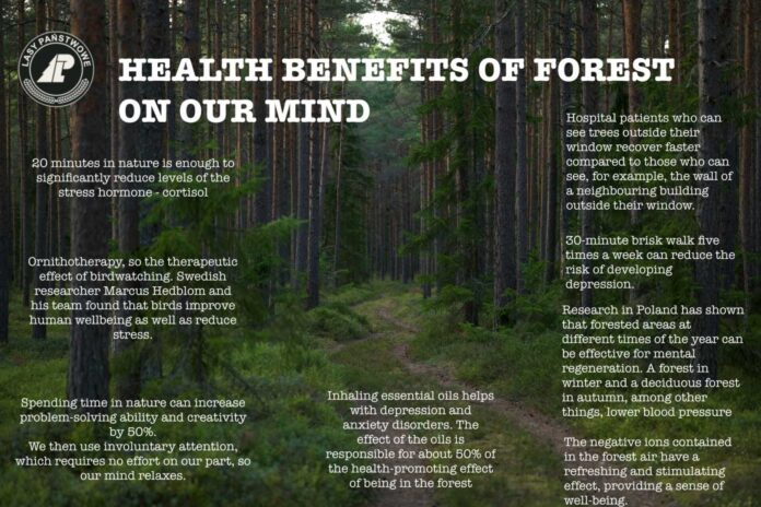 Forest Bathing Health Benefits