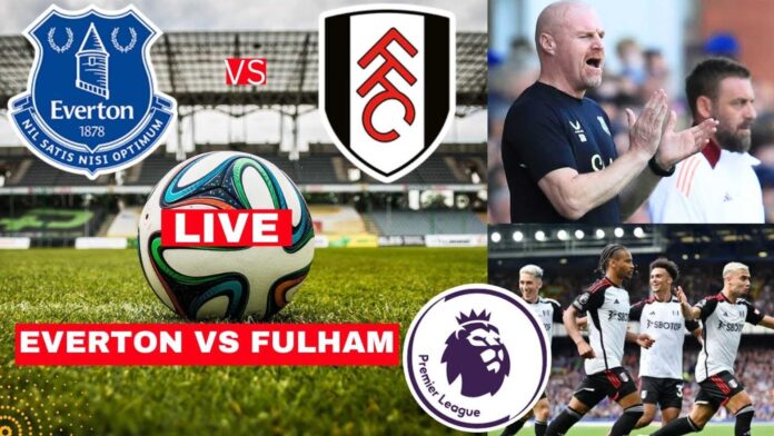 Fulham Fc Vs Everton Premier League Match