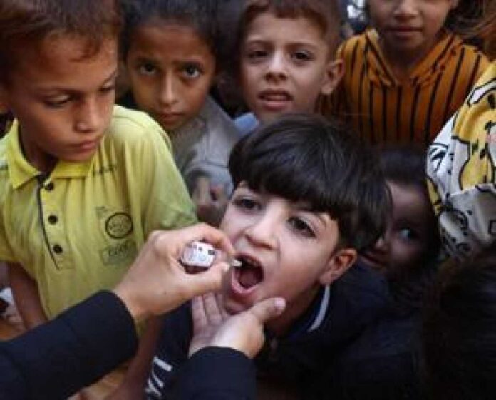 Gaza Polio Vaccination Campaign Halted Due To Bombardment