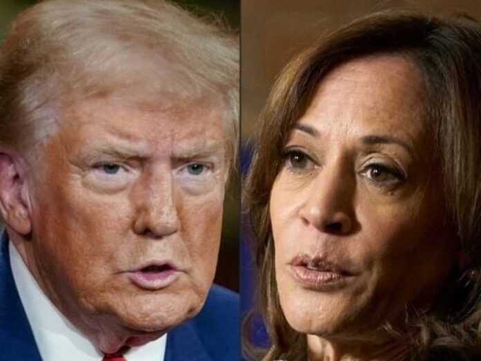 Kamala Harris At Georgia Church And Donald Trump At Mcdonald's Pennsylvania