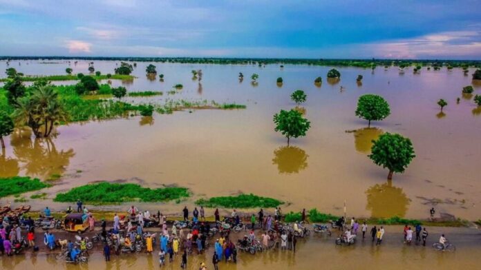 Lagdo Dam Flood In Edo