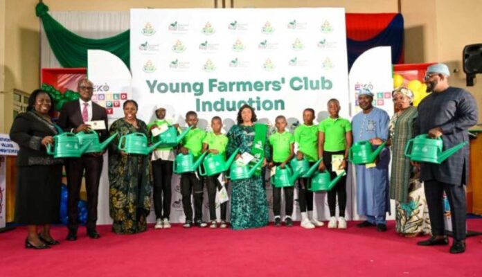 Lagos Lawmaker Promoting Agriculture To Youth