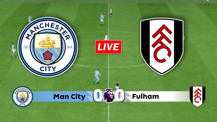 Manchester City Vs Fulham Premier League Match