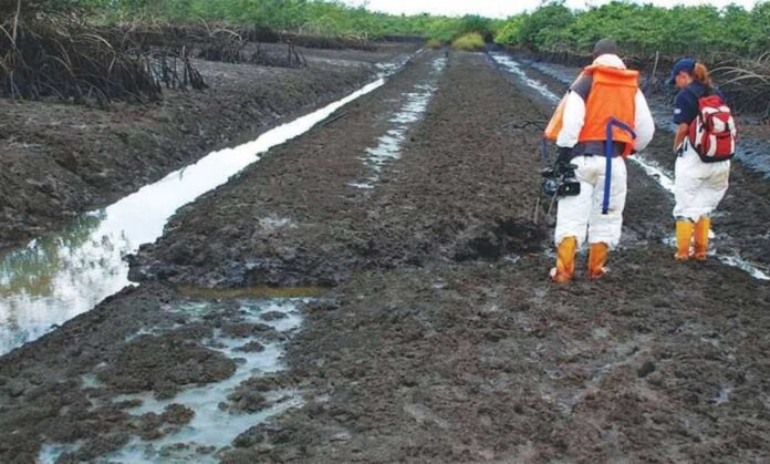 Mosop Ogoni Clean Up Project