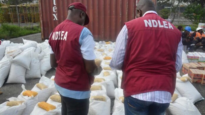 Ndlea Drug Seizures