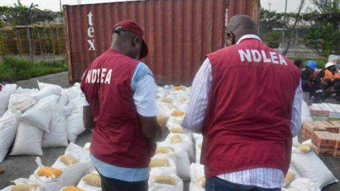 Ndlea Seizing Illicit Drugs