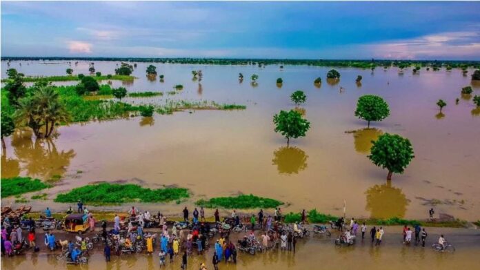 Nema Flood Impact Assessment Nigeria