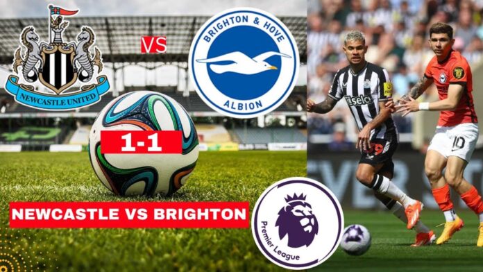 Newcastle United Vs Brighton & Hove Albion Premier League Match