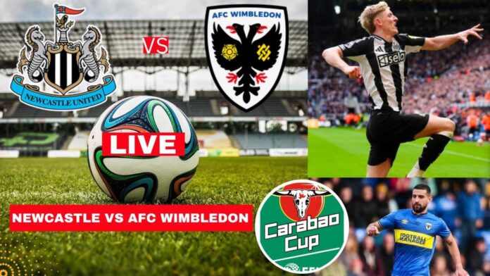 Newcastle Vs Wimbledon Football Match