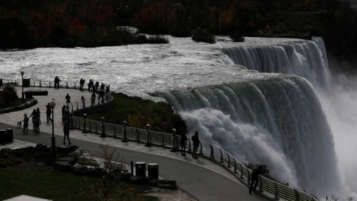 Niagara Falls Mother And Children Incident