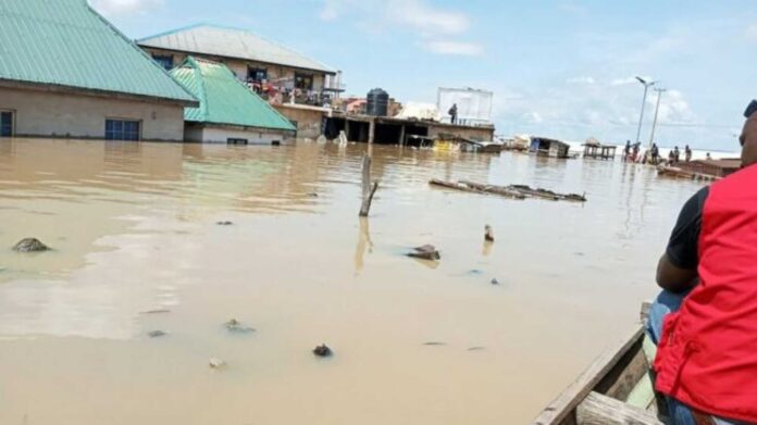 Nigerian News Flood Alerts Jamb Concerns