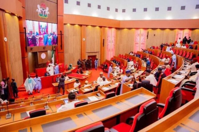 Nigerian Senate And Budget Template Preparation