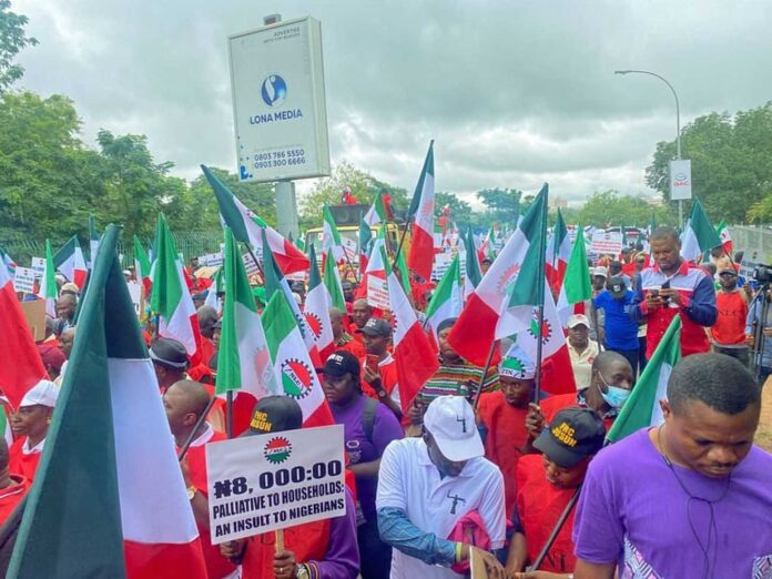 Nigerians Protesting Fuel Price Hike And Rising Food Prices