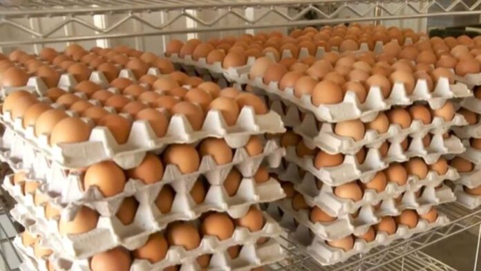 Parents Complaining About Egg Prices In Nigeria