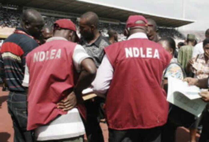 Parents Demanding Compensation For Child Killed By Ndlea Official