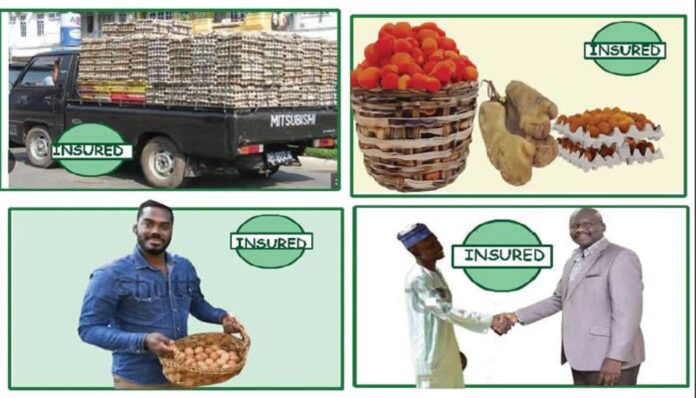 Post Harvest Insurance In Nigeria