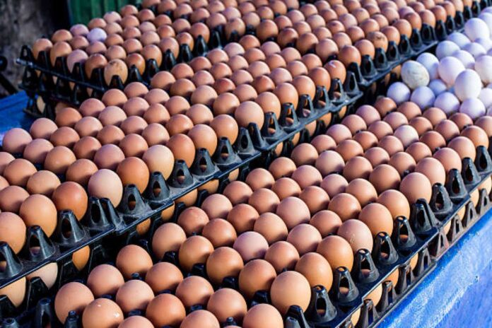 Poultry Farmers Protesting Egg Price Increase In Nigeria