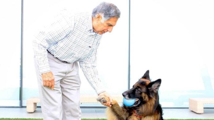 Ratan Tata And His Dog Tito