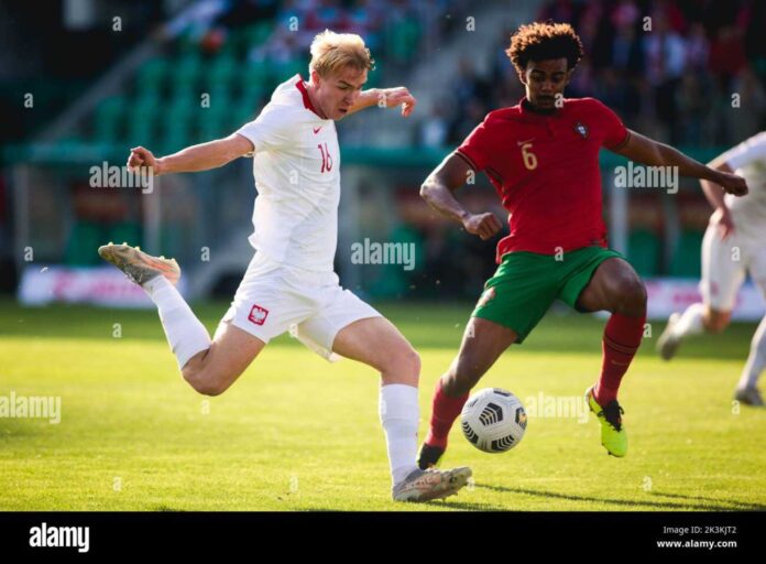 Renato Veiga Portugal Vs Poland