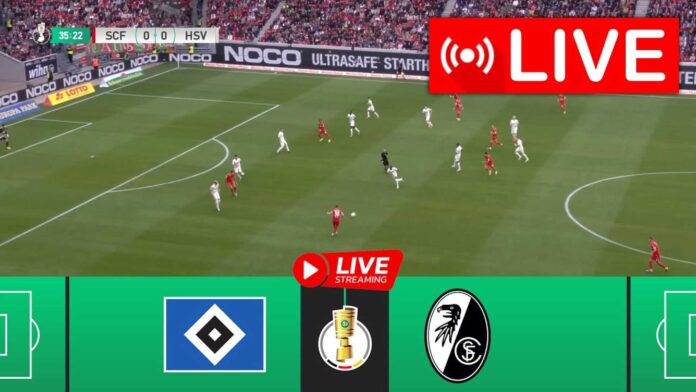 Sc Freiburg Vs Hamburger Sv Dfb Pokal Match