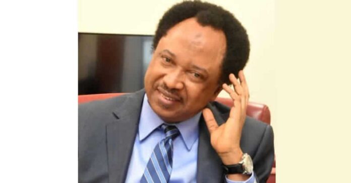 Shehu Sani And Super Eagles