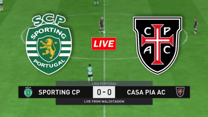 Sporting Cp Vs Casa Pia Liga Portugal Match