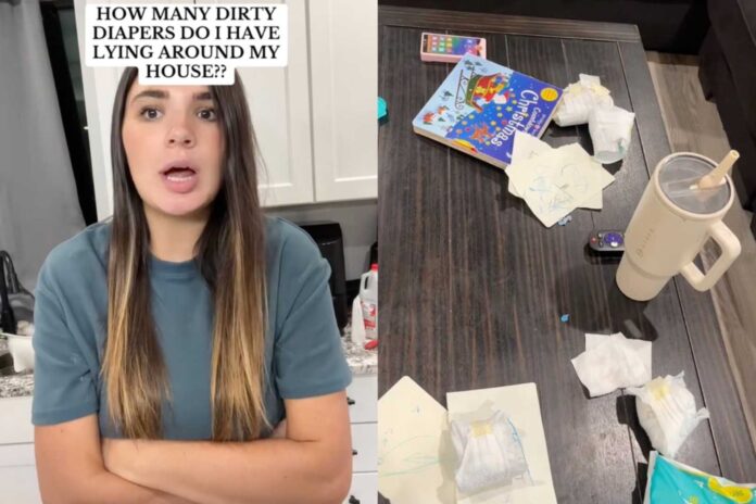 Tiktok Mom Collecting 17 Dirty Diapers