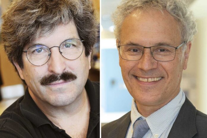 Victor Ambros And Gary Ruvkun Microrna Discovery