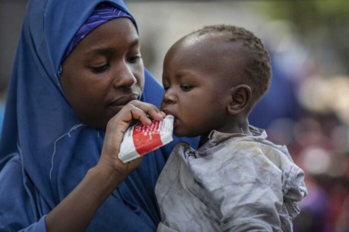 Wfp Aid Distribution In Nigeria's Northeast