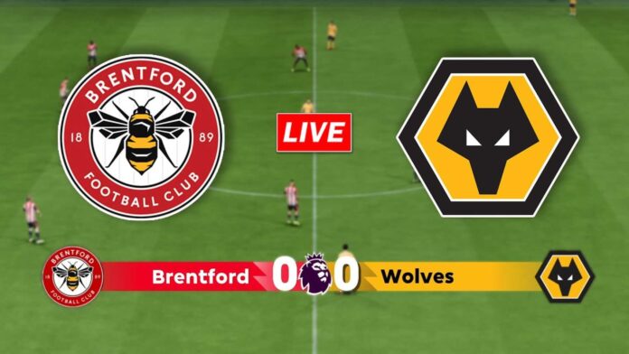 Wolverhampton Wanderers Vs Brentford Premier League Match