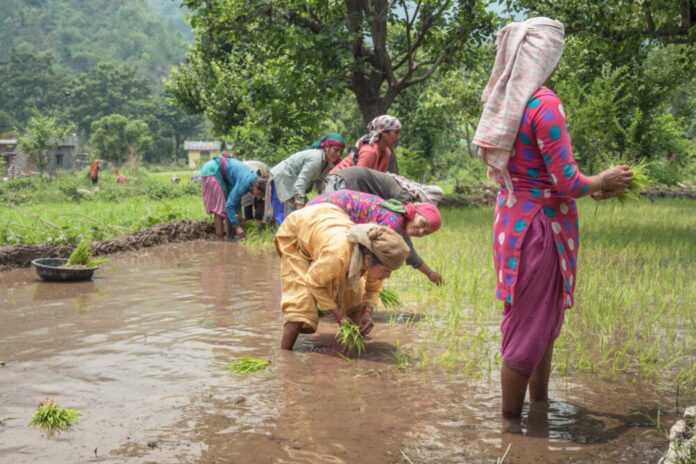 Women Farmers Climate Change Financial Exclusion