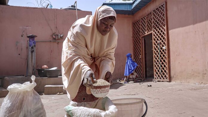 World Bank Empowering Nigerian Women