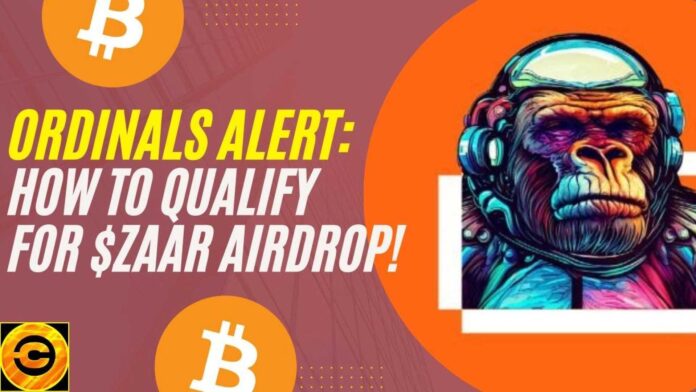 Zaar Token Airdrop And Farming Guide