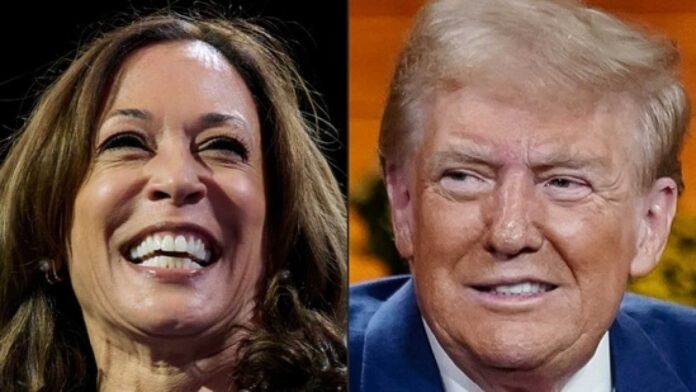 2024 Us Presidential Election Results Kamala Harris Donald Trump