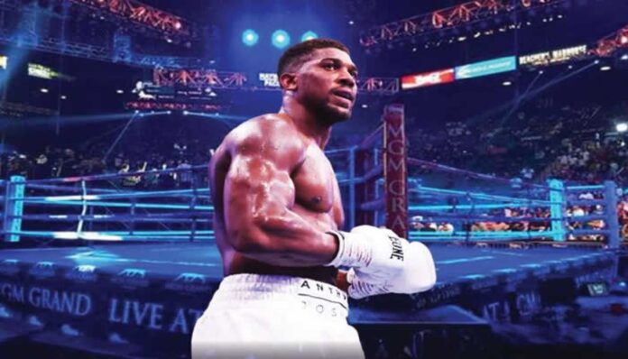 Anthony Joshua Boxing Earnings 2024