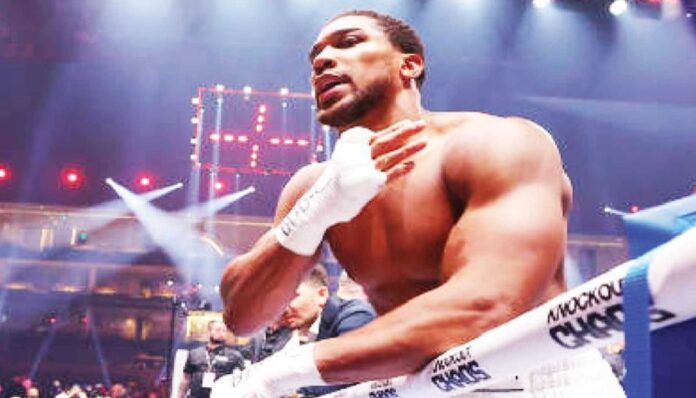 Anthony Joshua Career Earnings