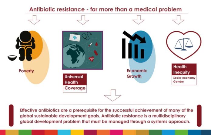 Antimicrobial Resistance Global Health Crisis