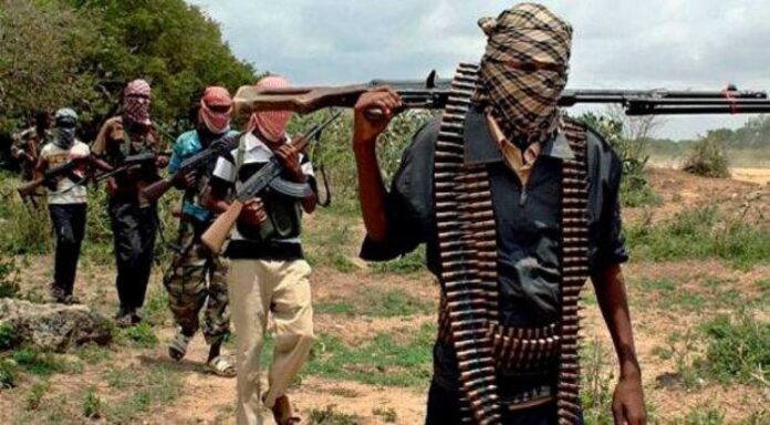 Armed Criminal Group In Sokoto Communities